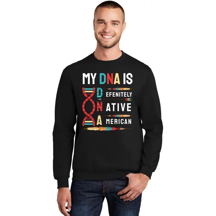 My Dna Is Defenitely Native American Funny Indian Lover Gift Sweatshirt