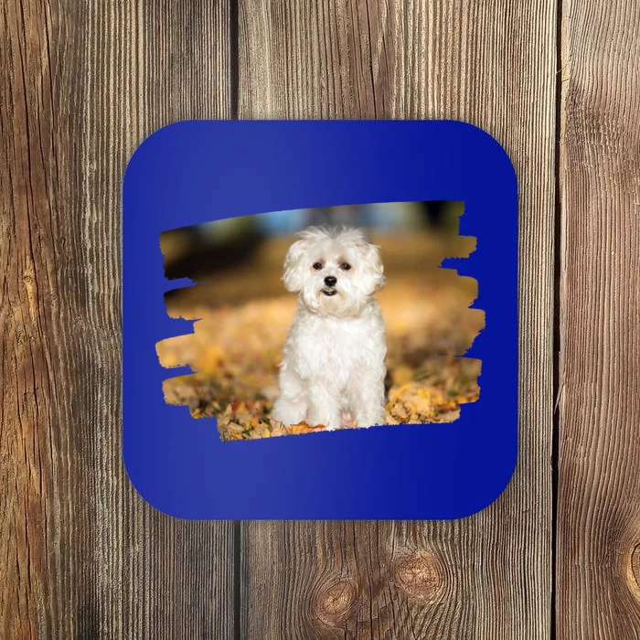 Maltese Dog Lover Gift Coaster