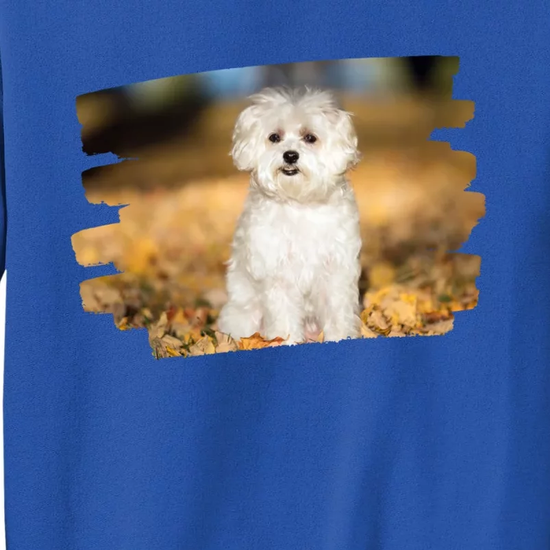 Maltese Dog Lover Gift Tall Sweatshirt