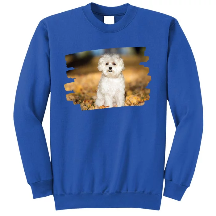 Maltese Dog Lover Gift Tall Sweatshirt