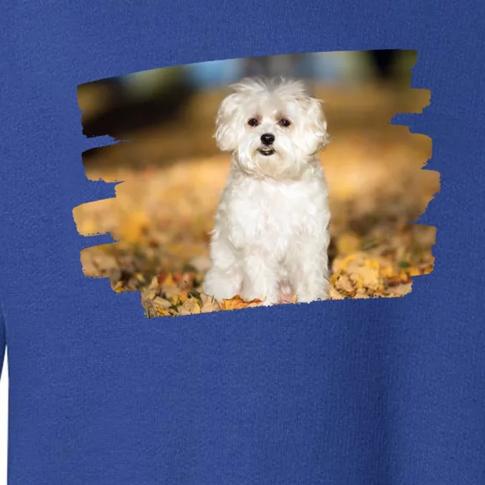 Maltese Dog Lover Gift Toddler Sweatshirt