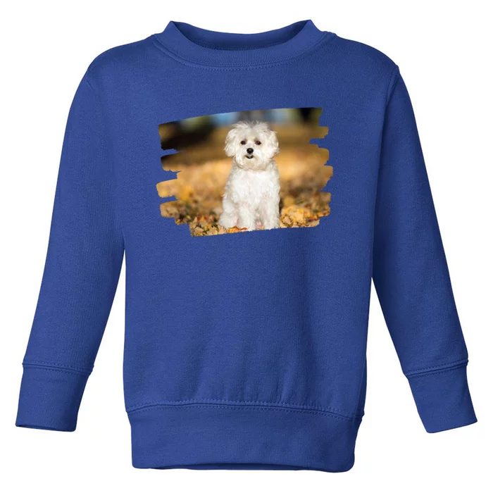 Maltese Dog Lover Gift Toddler Sweatshirt