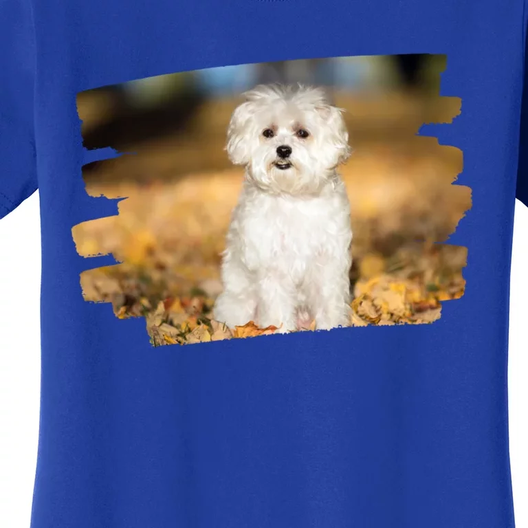 Maltese Dog Lover Gift Women's T-Shirt