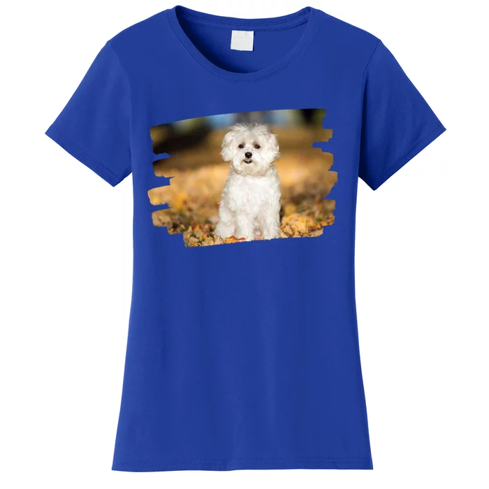 Maltese Dog Lover Gift Women's T-Shirt