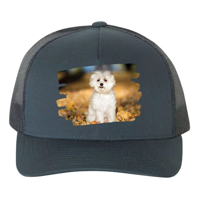 Maltese Dog Lover Gift Yupoong Adult 5-Panel Trucker Hat