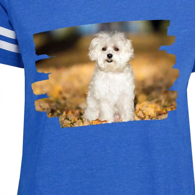 Maltese Dog Lover Gift Enza Ladies Jersey Football T-Shirt