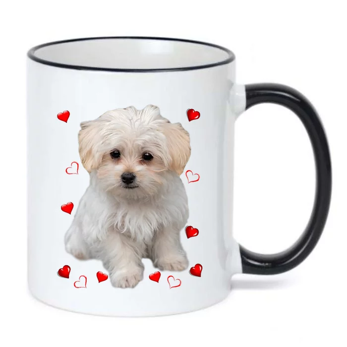 Maltese Dog Lover Dogs Puppies Owners Design Black Color Changing Mug