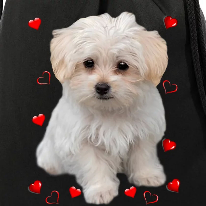 Maltese Dog Lover Dogs Puppies Owners Design Drawstring Bag