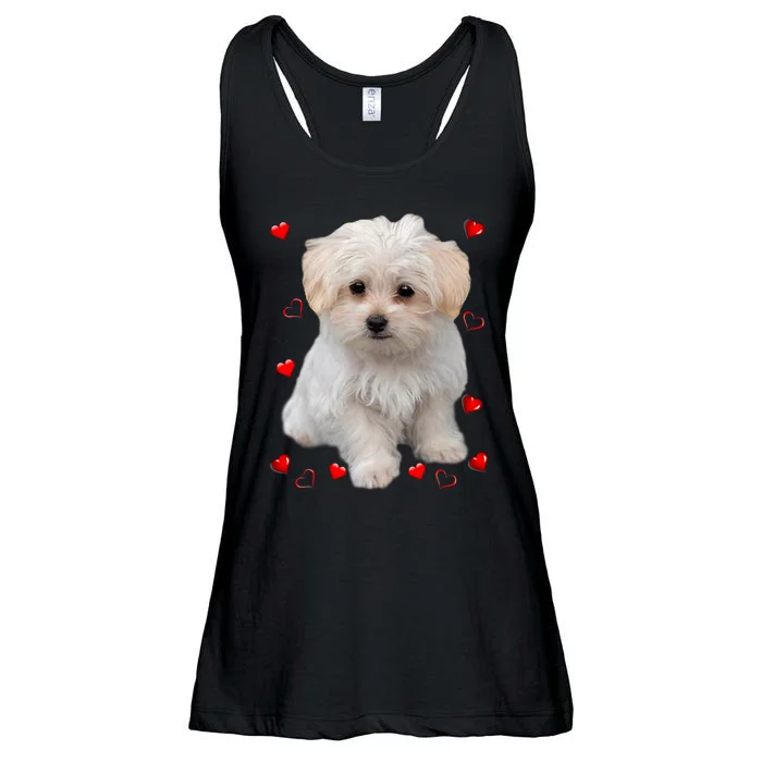 Maltese Dog Lover Dogs Puppies Owners Design Ladies Essential Flowy Tank