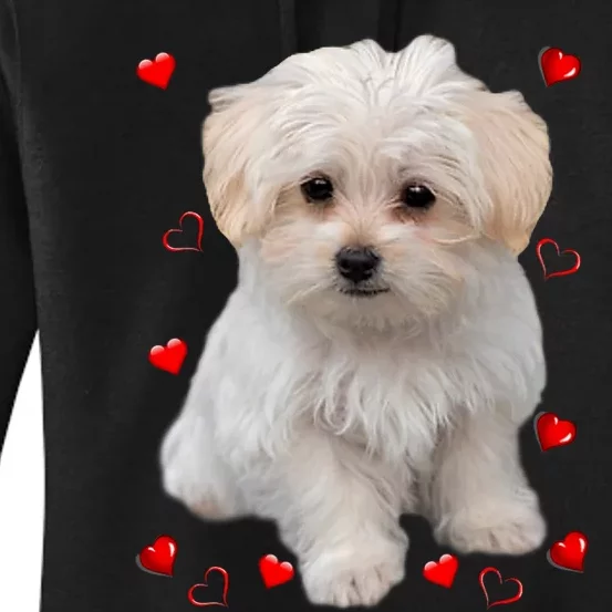 Maltese Dog Lover Dogs Puppies Owners Design Women's Pullover Hoodie