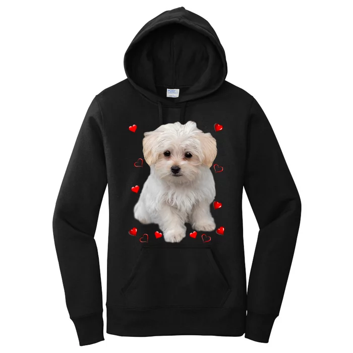 Maltese Dog Lover Dogs Puppies Owners Design Women's Pullover Hoodie