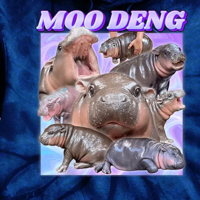 Moo Deng Meme Hippo Tie Dye Hoodie