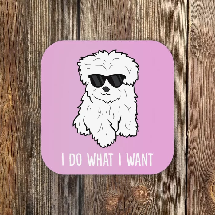 Maltese Dog Owner I Do What I Want Pet Maltese Coaster