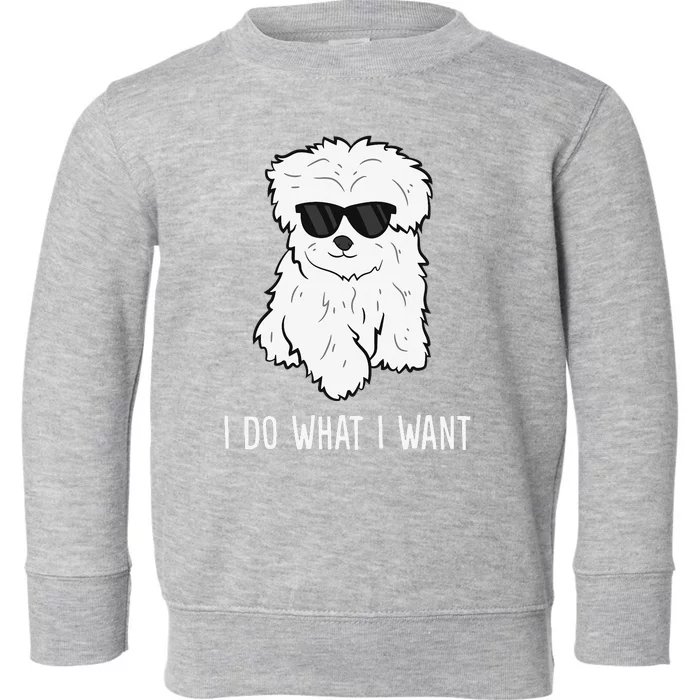 Maltese Dog Owner I Do What I Want Pet Maltese Toddler Sweatshirt