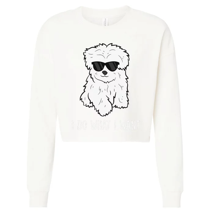 Maltese Dog Owner I Do What I Want Pet Maltese Cropped Pullover Crew