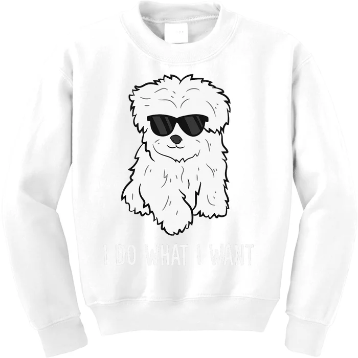 Maltese Dog Owner I Do What I Want Pet Maltese Kids Sweatshirt