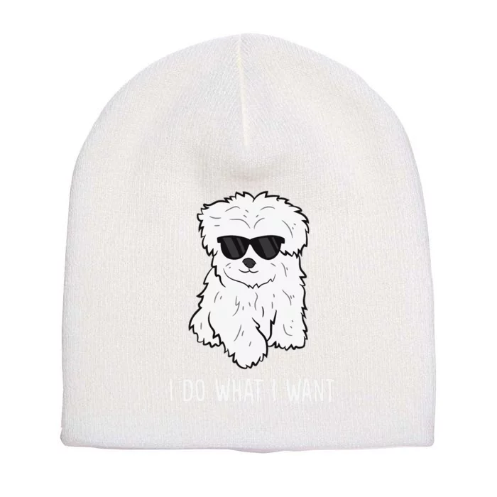 Maltese Dog Owner I Do What I Want Pet Maltese Short Acrylic Beanie