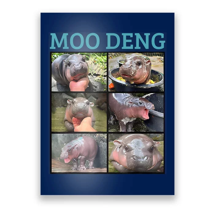 Moo Deng Picture Meme Funny Hippo Poster