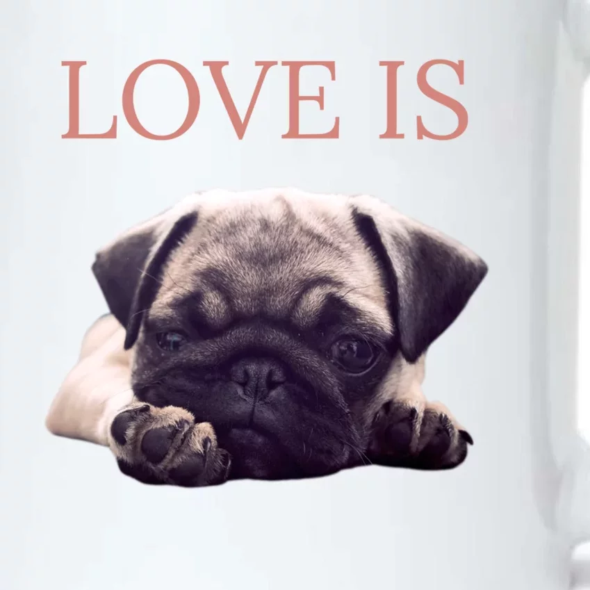 Mothers Day Pug Gift Pug Mom Life Love Dog Black Color Changing Mug