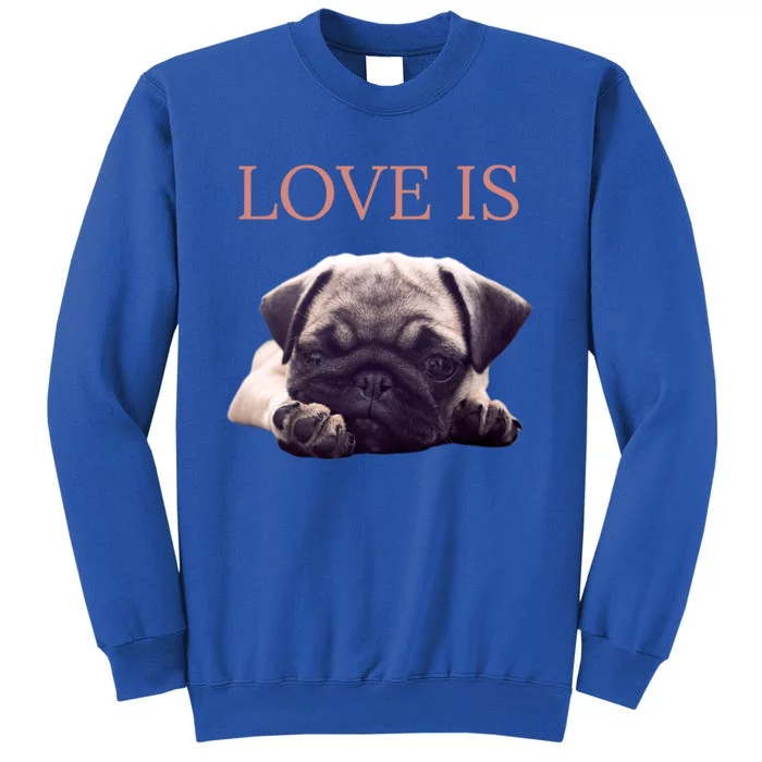 Mothers Day Pug Gift Pug Mom Life Love Dog Tall Sweatshirt