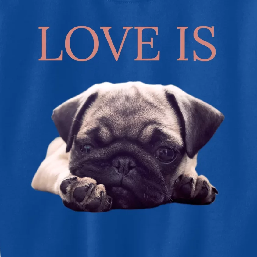 Mothers Day Pug Gift Pug Mom Life Love Dog Kids Sweatshirt