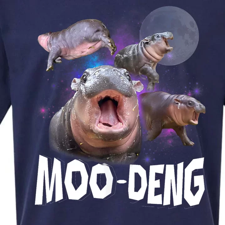 Moo Deng Space Hippo Sueded Cloud Jersey T-Shirt