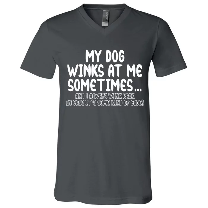 My Dog Winks At Me Funny V-Neck T-Shirt