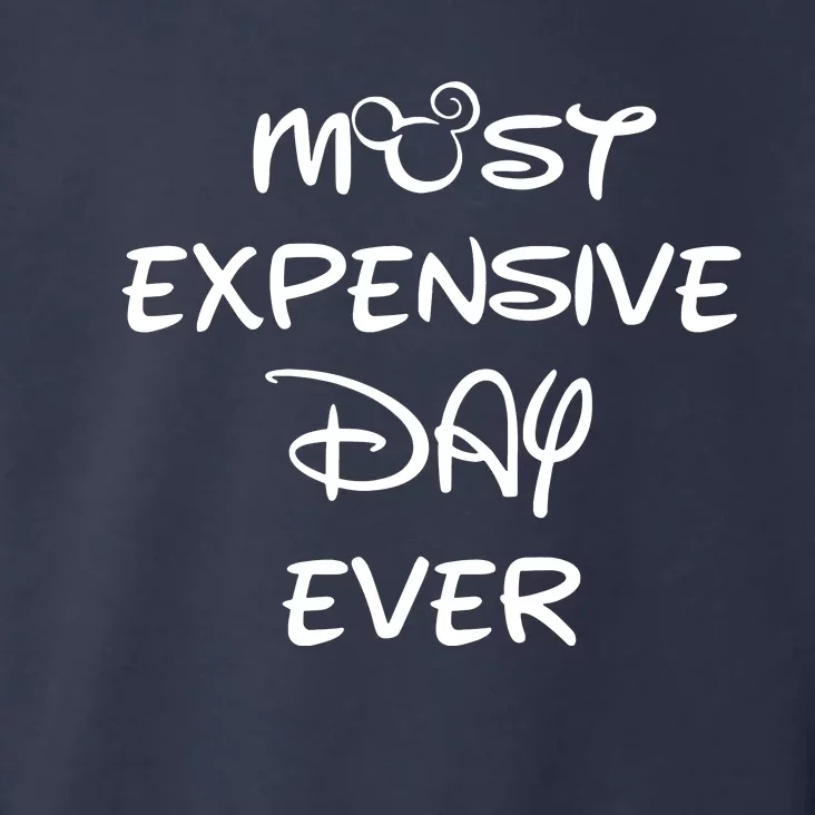 Most Expensive Day Ever Toddler Hoodie