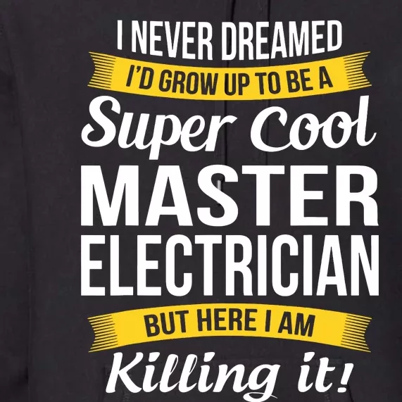 Master Electrician Funny Gift Premium Hoodie