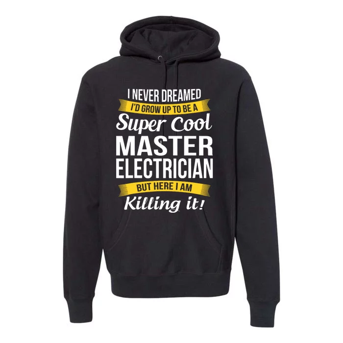 Master Electrician Funny Gift Premium Hoodie