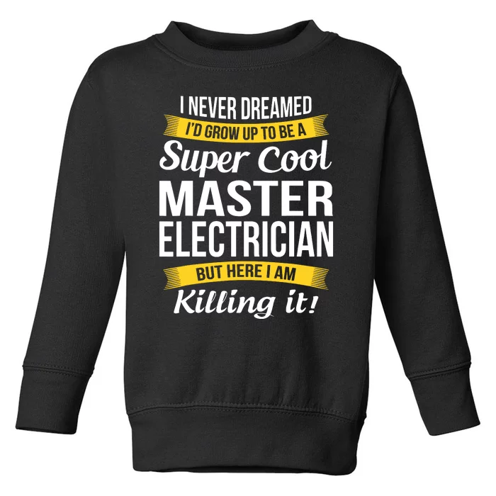 Master Electrician Funny Gift Toddler Sweatshirt