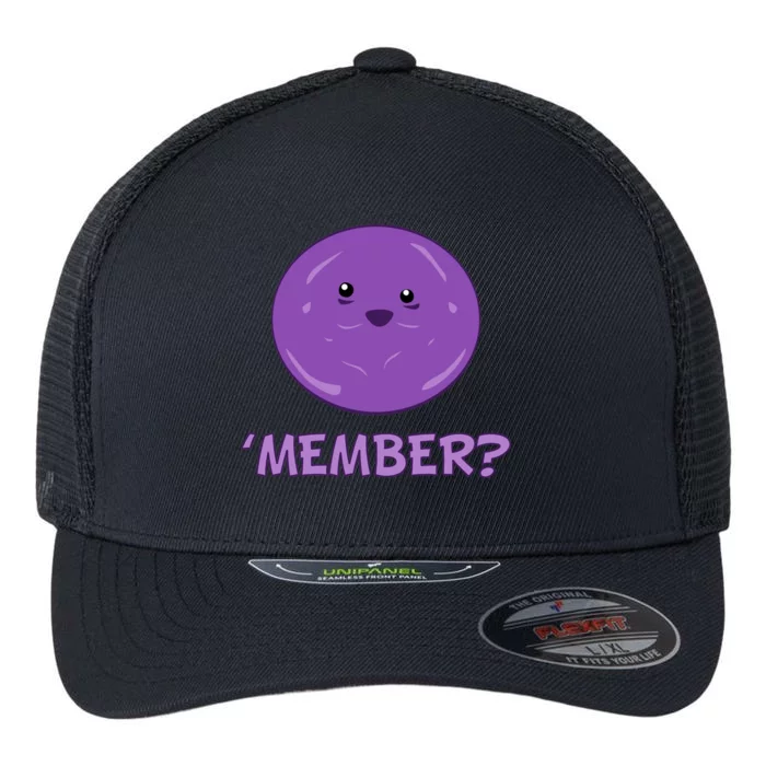 Member Berries 'Member? Funny Berry Meme Flexfit Unipanel Trucker Cap