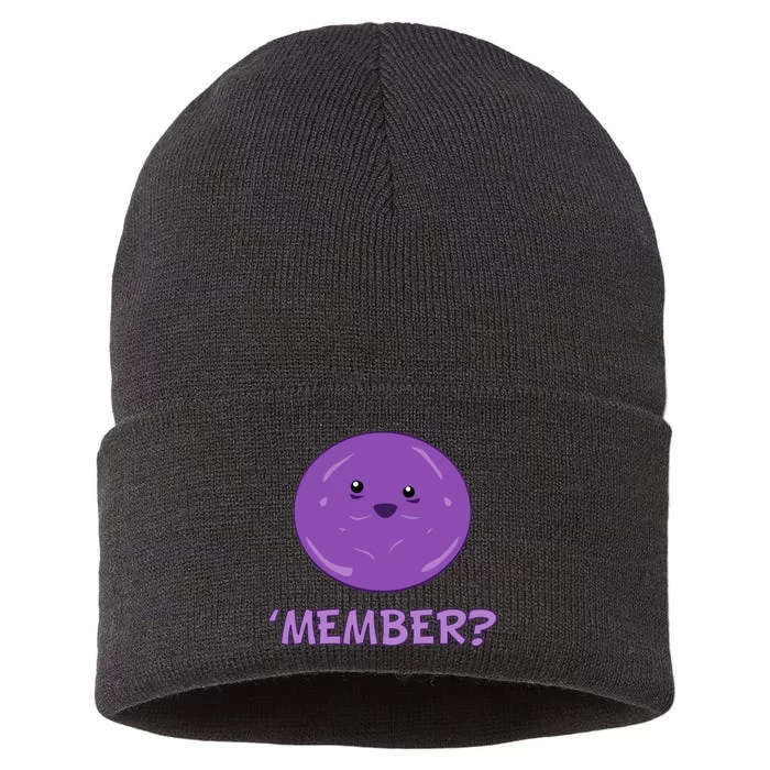 Member Berries 'Member? Funny Berry Meme Sustainable Knit Beanie