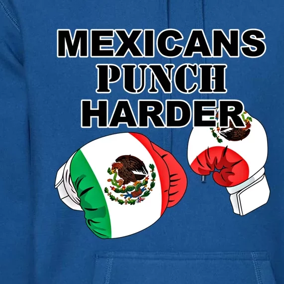 Mexican Flag Boxing Gloves Gift Premium Hoodie