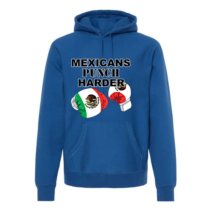 Mexican Flag Boxing Gloves Gift Premium Hoodie