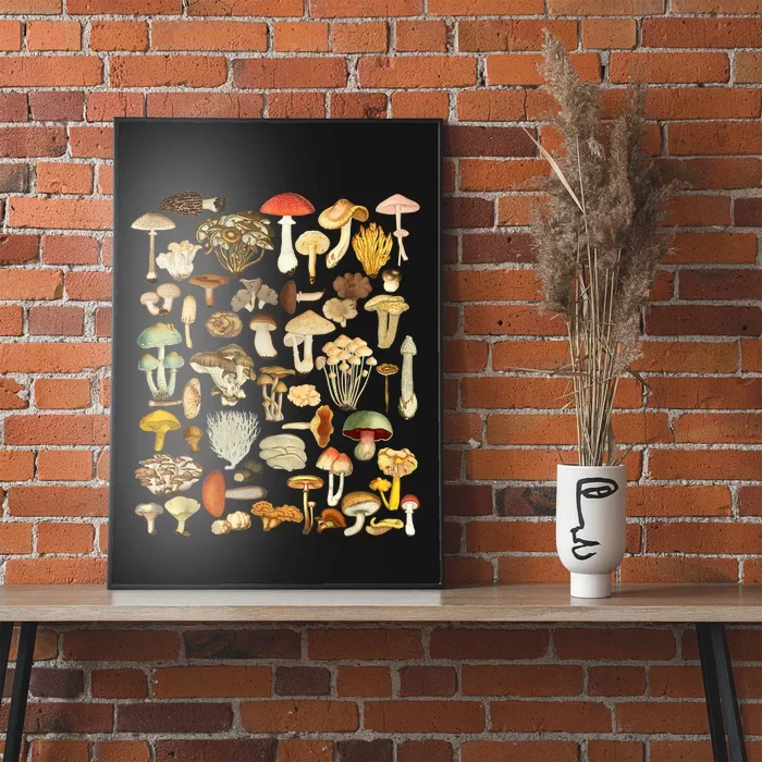 Mycology Fungi Foraging Mushroom Poster