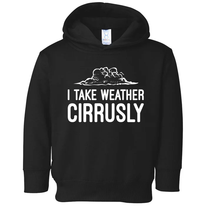 Meteorologist Funny Gift For Kids Men Women Weather Meteorology Toddler Hoodie