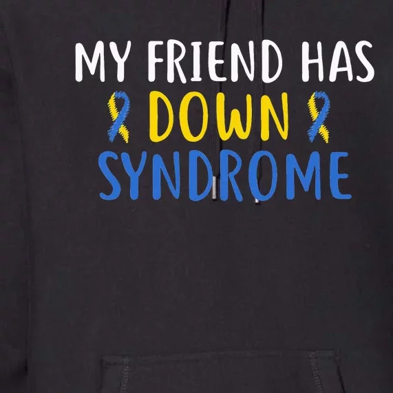 My Friend Has Down Syndrome World Syndrome Awareness Day Premium Hoodie