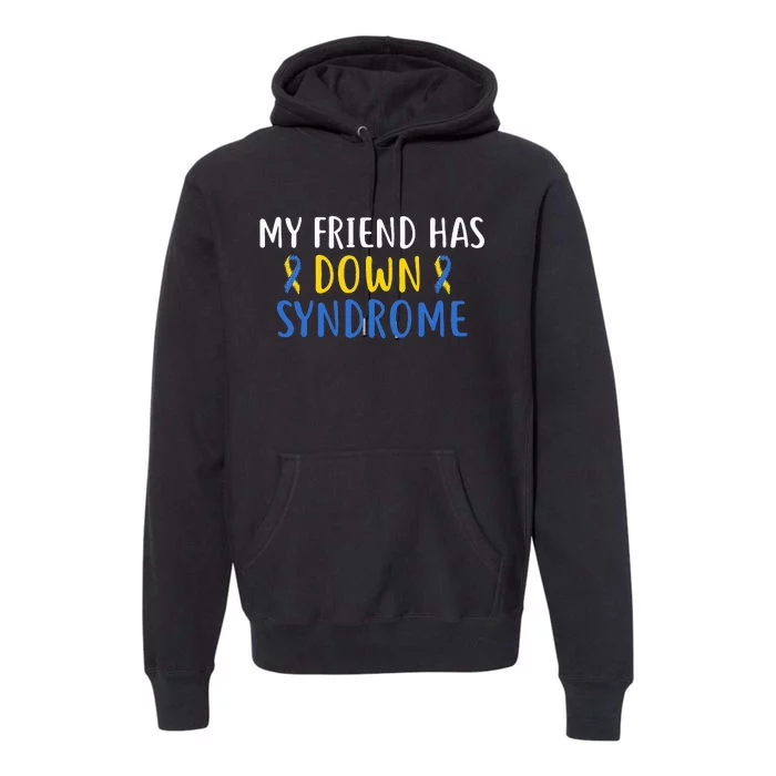 My Friend Has Down Syndrome World Syndrome Awareness Day Premium Hoodie