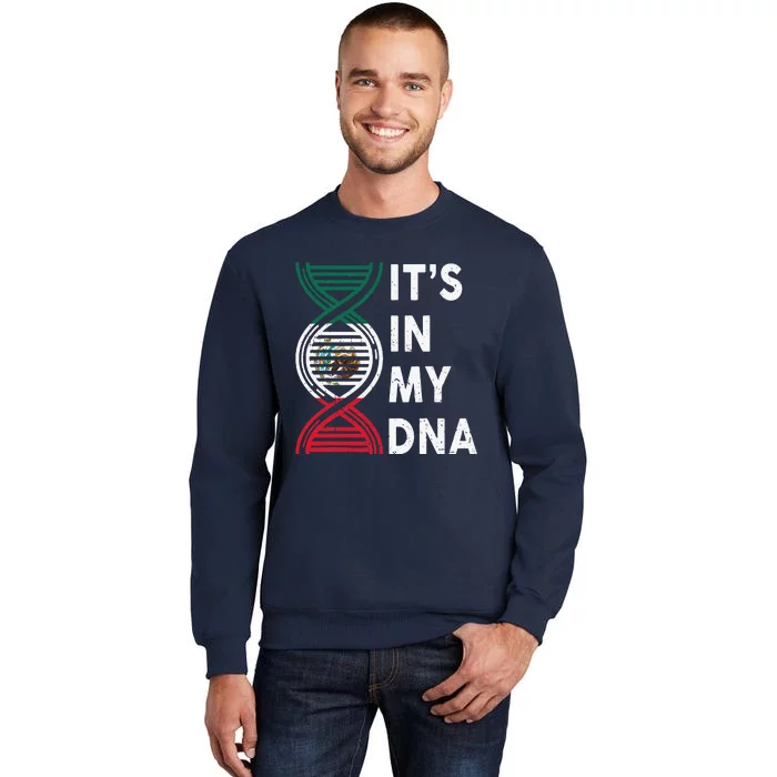 Mexican Flag Its In My DNA Mexico Hispanic Heritage Month Sweatshirt