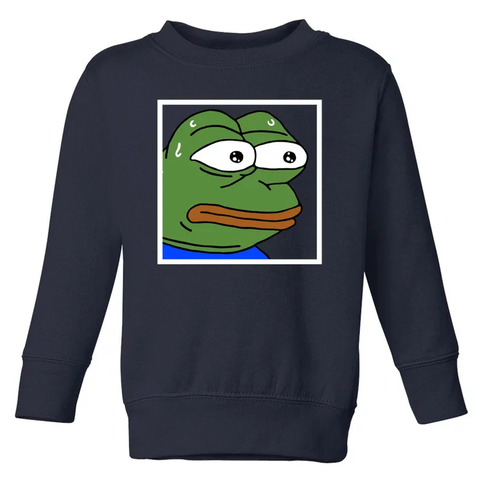 Monkah Frog Toddler Sweatshirt