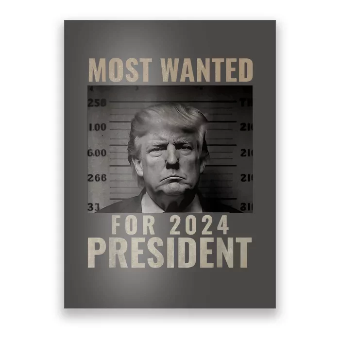 Mugshot For President Most Wanted Funny Trump 2024 Gift Poster