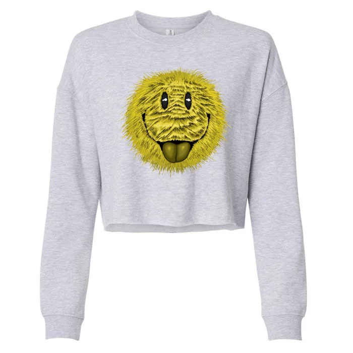 Ma Fur Smiley Pet Cropped Pullover Crew