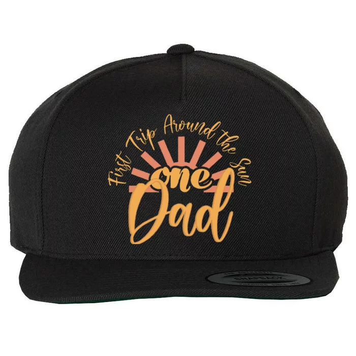 My First Trip Around The Sun Fall 1st Birthday Dad Wool Snapback Cap