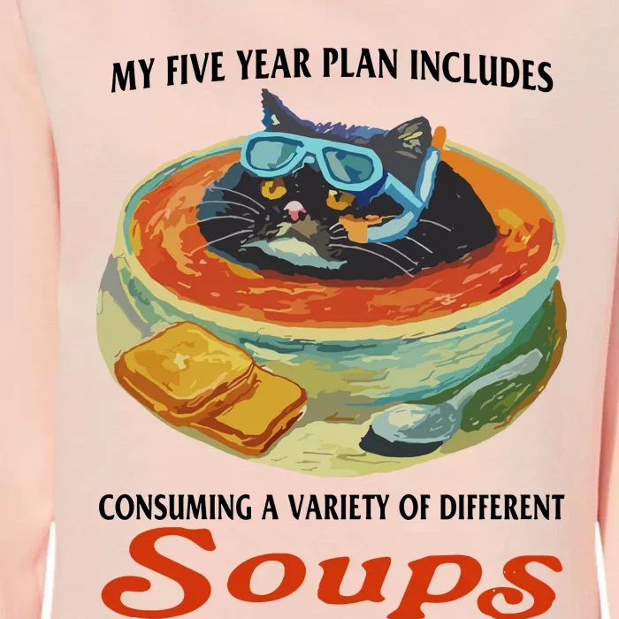 My Five Year Plan Includes Consuming A Variety Of Different Soups Womens California Wash Sweatshirt