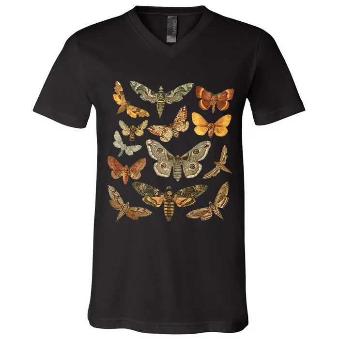 Moth Goblincore Aesthetic Dark Academia Cottagecore V-Neck T-Shirt