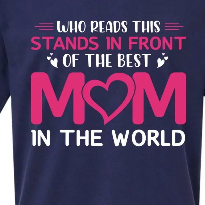 Mom Gift Best Mom In The World Gift Mom Cute Gift Sueded Cloud Jersey T-Shirt