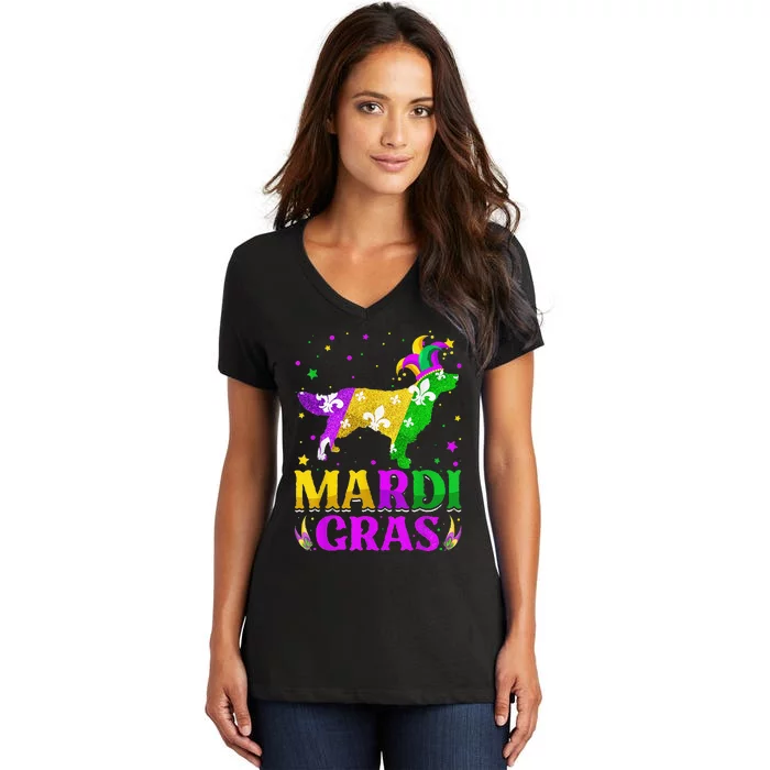 Mardi Gras Golden Retriever Dog Lover Carnival Jester Women's V-Neck T-Shirt