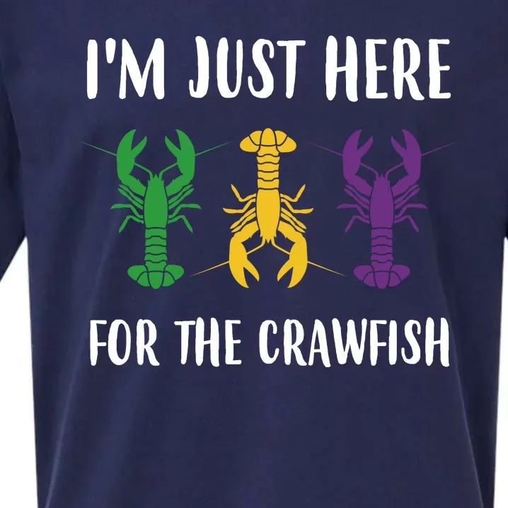 Mardi Gras Im Just Here For The Crawfish Sueded Cloud Jersey T-Shirt