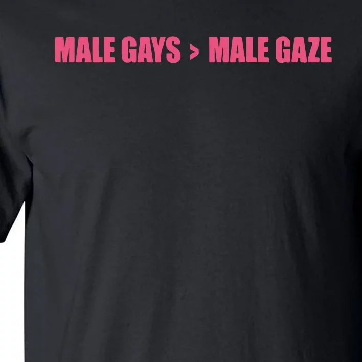 Male Gays More Male Gaze Tall T-Shirt